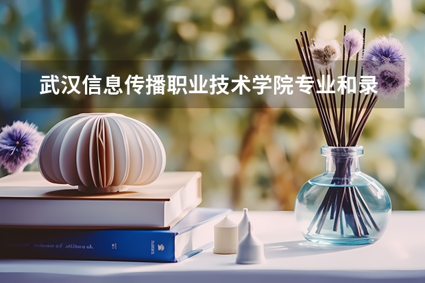  武汉信息传播职业技术学院专业和录取分数线是多少