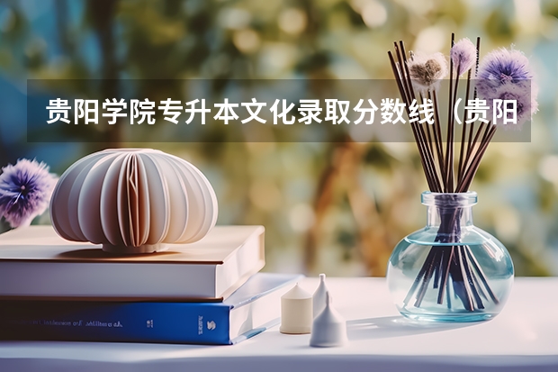 贵阳学院专升本文化录取分数线（贵阳学院研究生分数线）