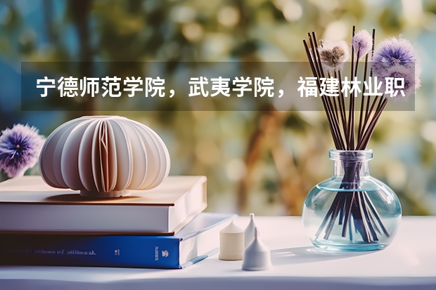 宁德师范学院,武夷学院,福建林业职业技术学院,福建商业高等专科学院,三名职业技术学院,泉州经贸职业技(今年考了325分,现在只剩下征集志愿了,要填哪所学校好了?求大家帮忙!急急急)