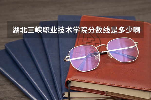 湖北三峡职业技术学院分数线是多少啊？