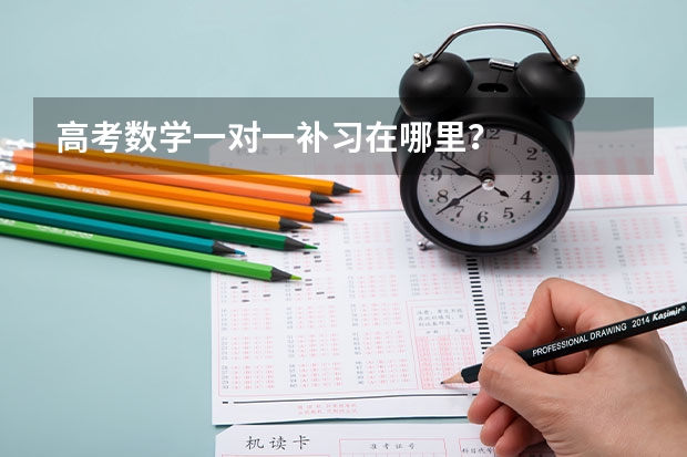 高考数学一对一补习在哪里？