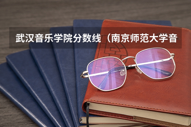 武汉音乐学院分数线（南京师范大学音乐学院录取分数线）