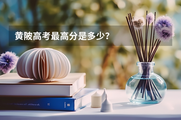 黄陂高考最高分是多少？