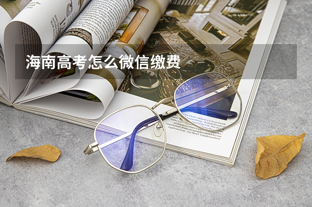 海南高考怎么微信缴费