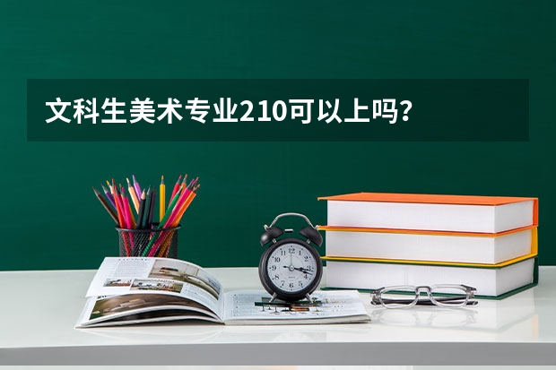 文科生美术专业210可以上吗？