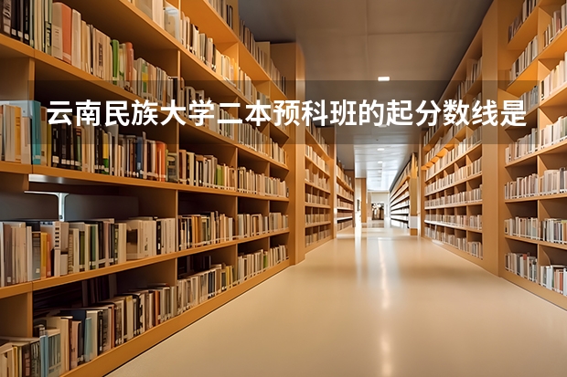 云南民族大学二本预科班的起分数线是多少？