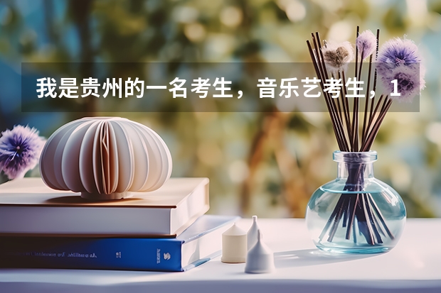 我是贵州的一名考生，音乐艺考生，178分能报学校吗？