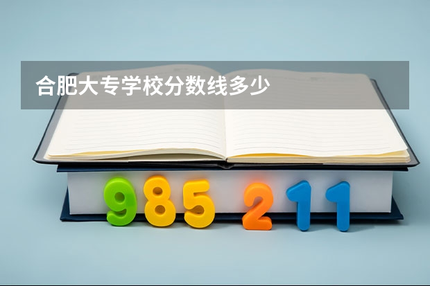 合肥大专学校分数线多少