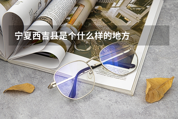 宁夏西吉县是个什么样的地方