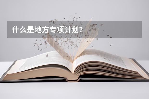 什么是地方专项计划？