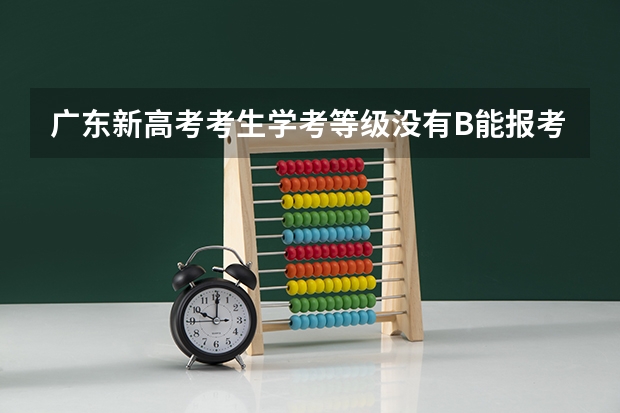 广东新高考考生学考等级没有B能报考吗