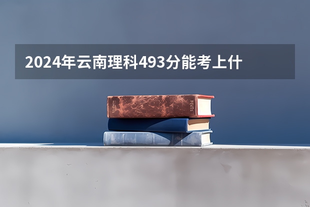 2024年云南理科493分能考上什么大学?
