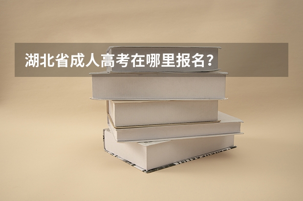 湖北省成人高考在哪里报名？