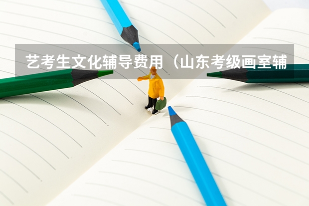 艺考生文化辅导费用（山东考级画室辅导 淄博新动力画室服务）