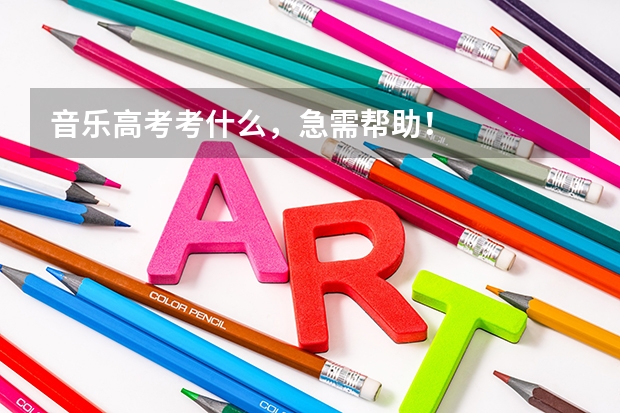 音乐高考考什么，急需帮助！