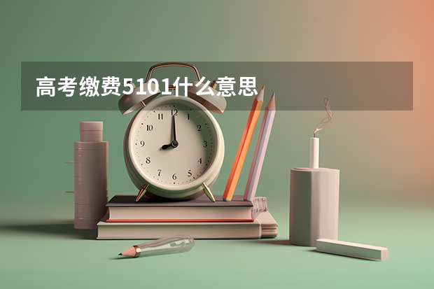高考缴费5101什么意思