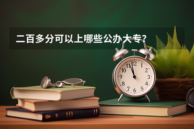二百多分可以上哪些公办大专？