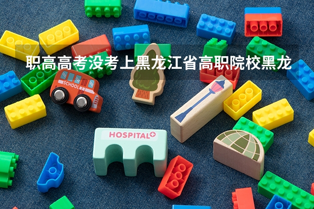 职高高考没考上黑龙江省高职院校黑龙江农垦职业学院降分补录的吗