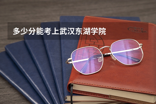 多少分能考上武汉东湖学院