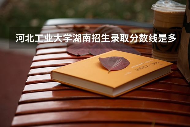 河北工业大学湖南招生录取分数线是多少