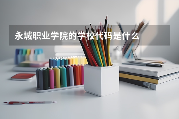 永城职业学院的学校代码是什么