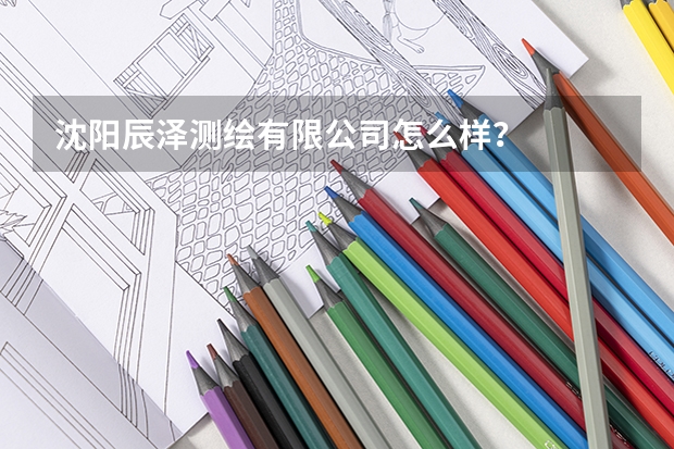 沈阳辰泽测绘有限公司怎么样?