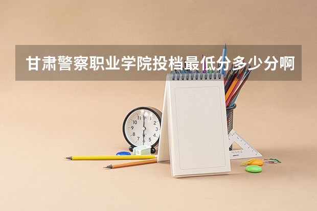 甘肃警察职业学院投档最低分多少分啊？