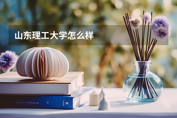 山东理工大学怎么样