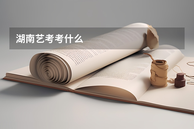 湖南艺考考什么