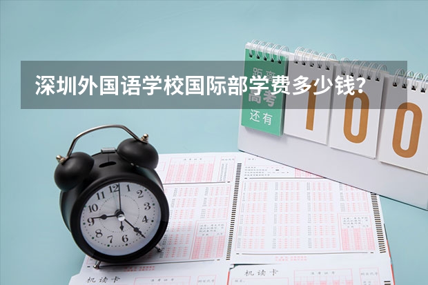 深圳外国语学校国际部学费多少钱?