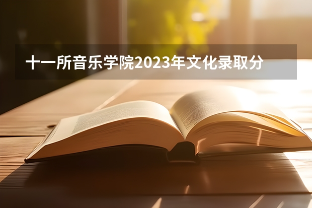 十一所音乐学院2023年文化录取分数线汇总 中央音乐学院分数线