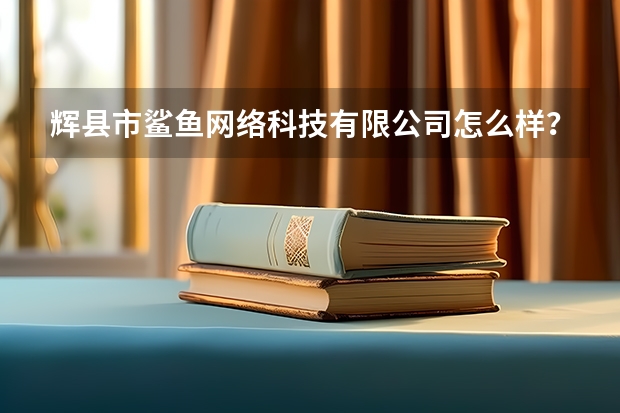 辉县市鲨鱼网络科技有限公司怎么样？