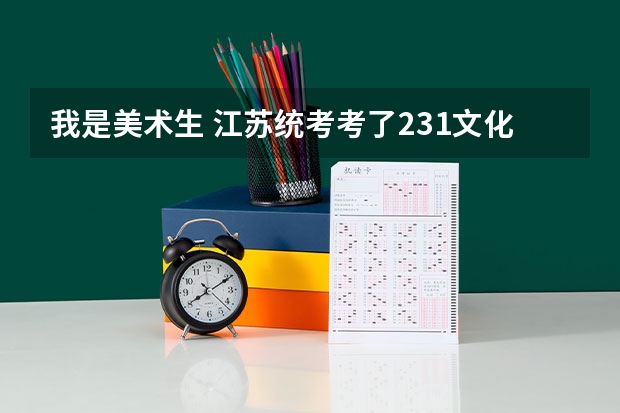 我是美术生 江苏统考考了231文化课 考多少才能上本科