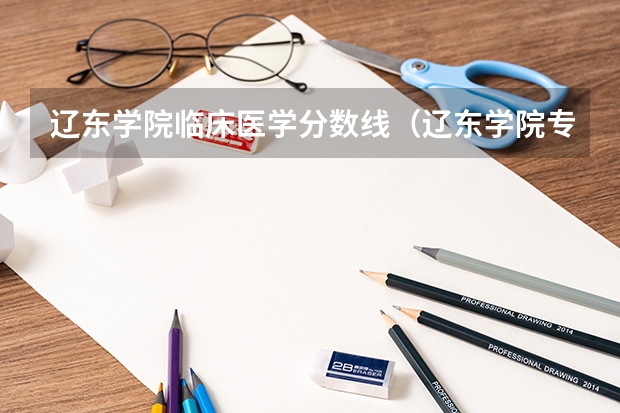 辽东学院临床医学分数线（辽东学院专科）
