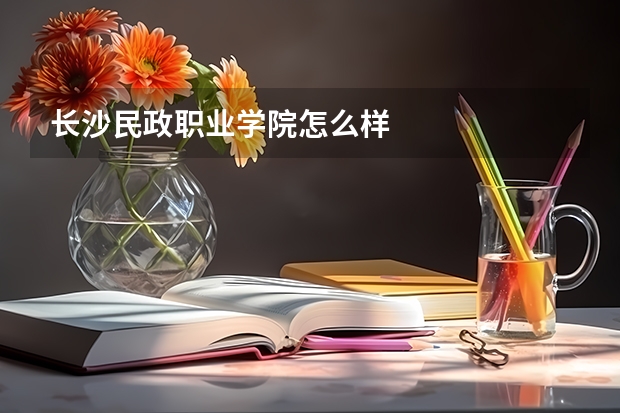 长沙民政职业学院怎么样