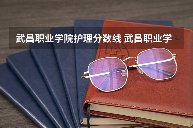 武昌职业学院护理分数线 武昌职业学院分数线