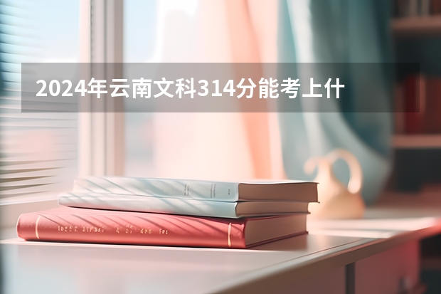 2024年云南文科314分能考上什么大学?