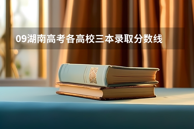 09湖南高考各高校三本录取分数线.. 山西医科大学晋祠学院专业排名一览表