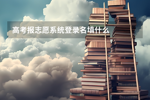 高考报志愿系统登录名填什么