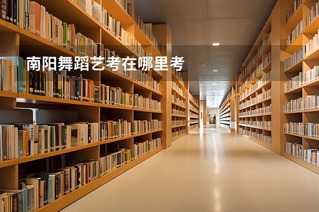 南阳舞蹈艺考在哪里考