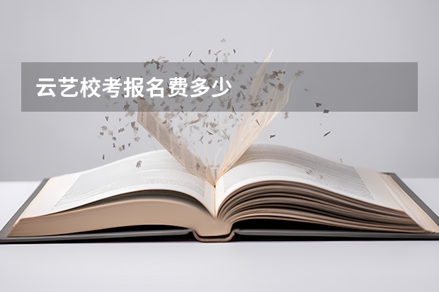 云艺校考报名费多少