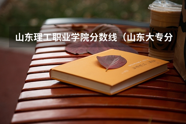 山东理工职业学院分数线（山东大专分数线）