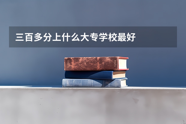 三百多分上什么大专学校最好