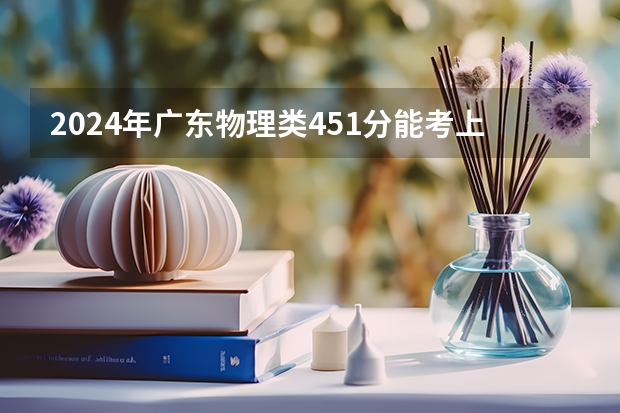 2024年广东物理类451分能考上什么大学？