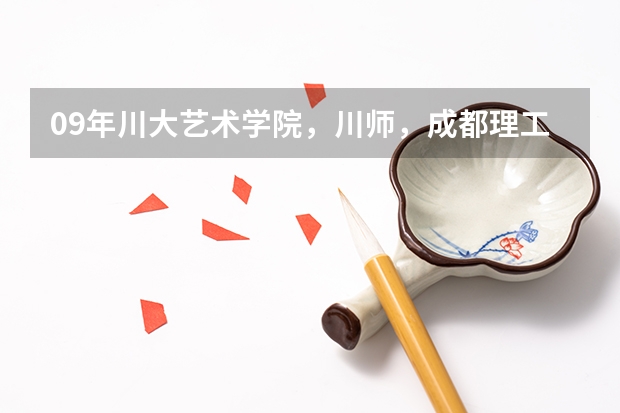 09年川大艺术学院,川师,成都理工大学影视艺术学院艺考招生简章 【艺考-编导】全国编导类高校排名