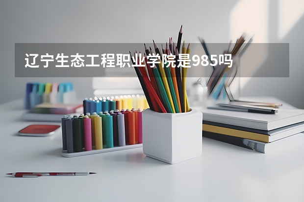 辽宁生态工程职业学院是985吗