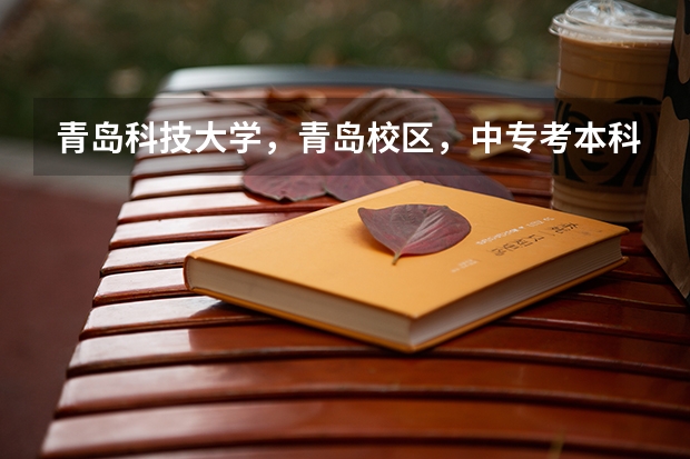 青岛科技大学，青岛校区，中专考本科的分数线是多少，财会专业的