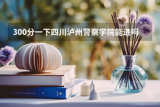 300分一下四川泸州警察学院能进吗？