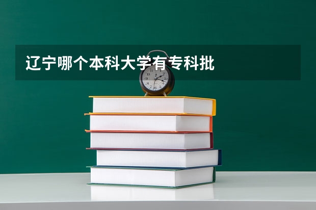 辽宁哪个本科大学有专科批