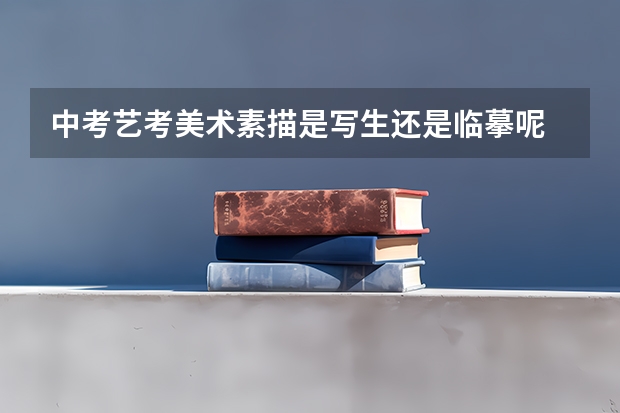 中考艺考美术素描是写生还是临摹呢